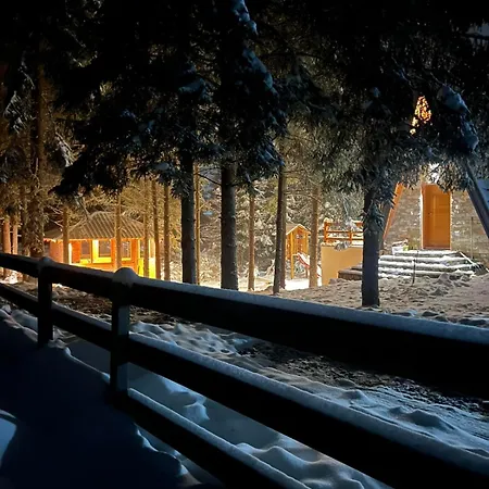 Mila House Tara Dom wakacyjny *