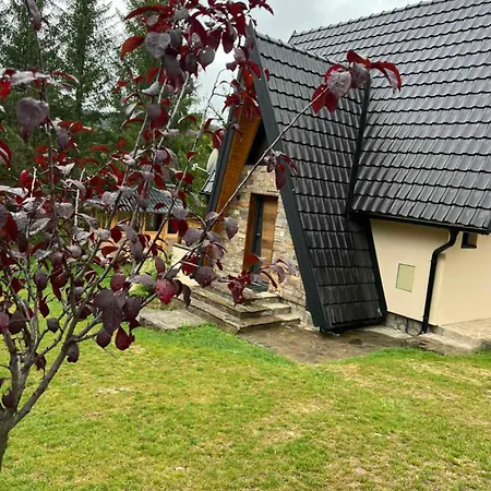 Mila House Tara Dom wakacyjny Bajina Basta